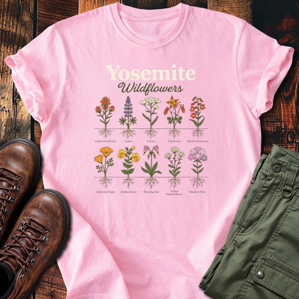 Yosemite 23