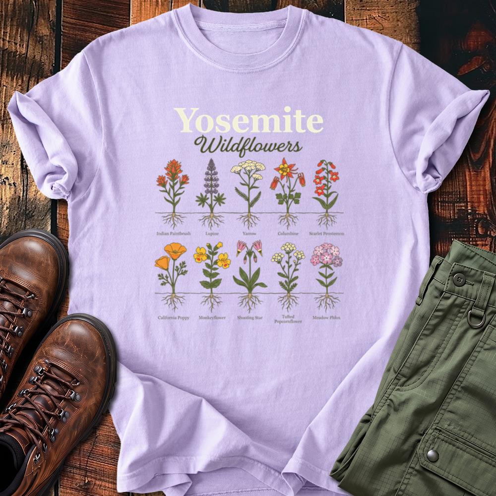Yosemite 23